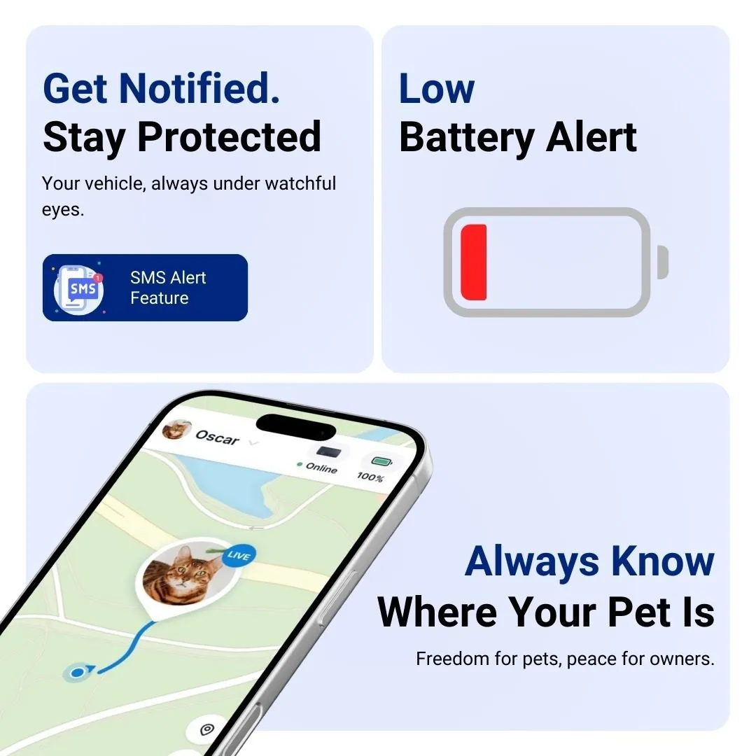 SEETRACK 4G GPS Tracker Smart Dog Collar with Free SIM & 12-Month Data Plan – Real-Time Location Tracking, Activity & Sleep Monitoring, iOS & Android App, Waterproof Pet Fitness Tracker - Image 4