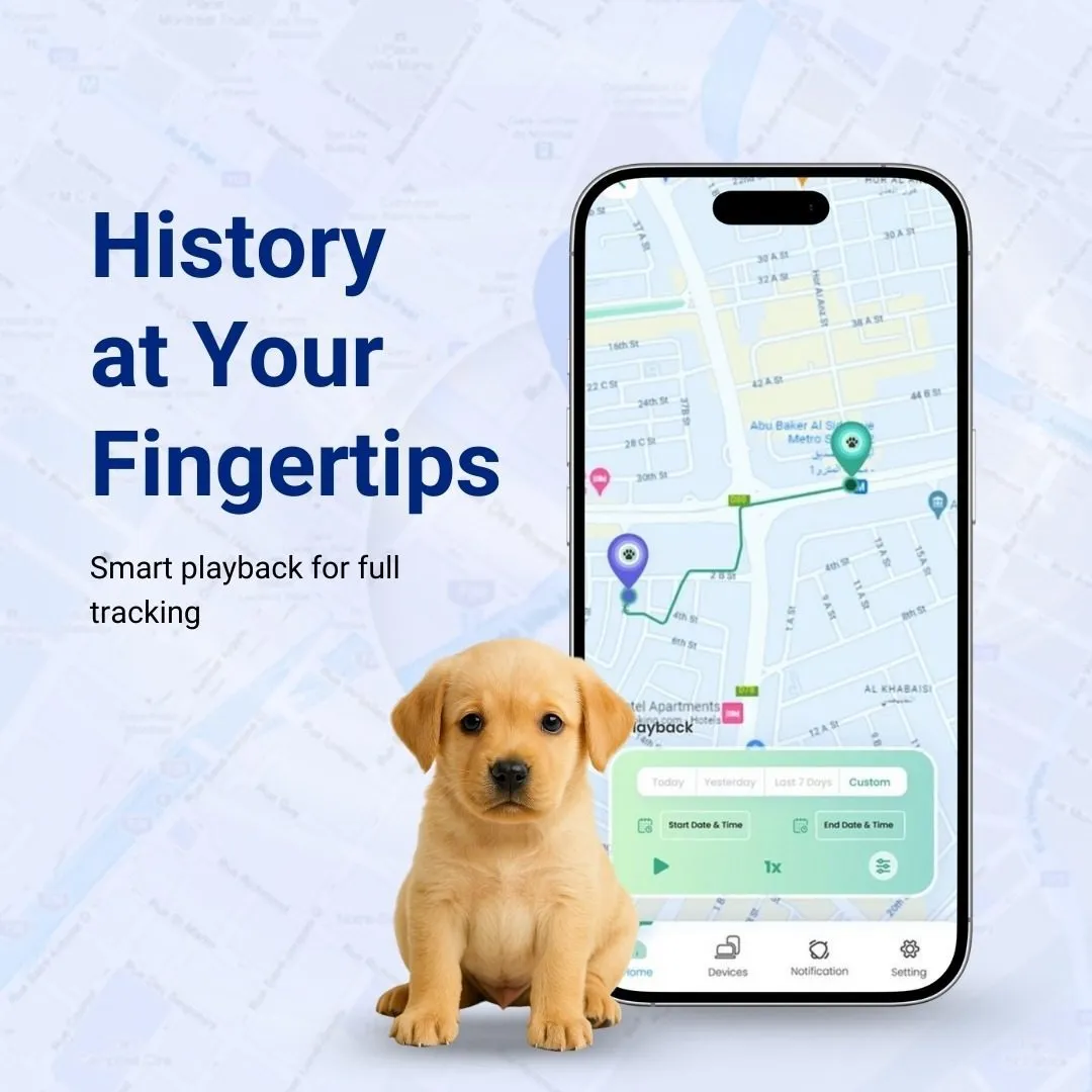 SEETRACK 4G GPS Tracker Smart Dog Collar with Free SIM & 12-Month Data Plan – Real-Time Location Tracking, Activity & Sleep Monitoring, iOS & Android App, Waterproof Pet Fitness Tracker - Image 5